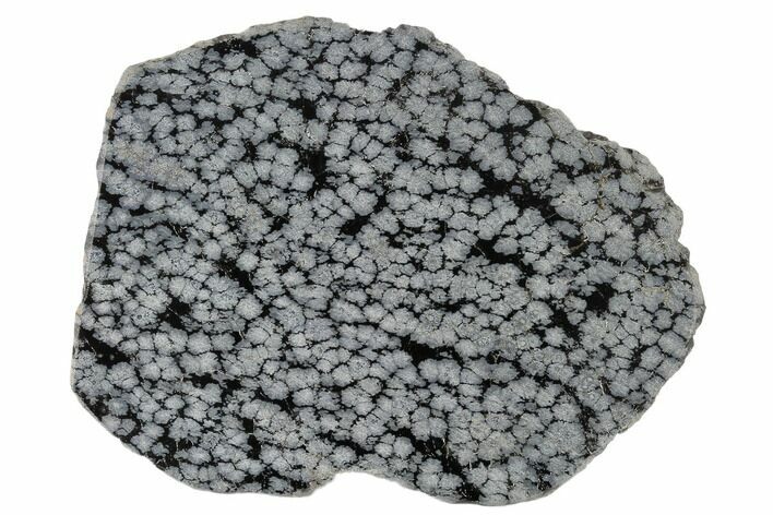 Polished Snowflake Obsidian Section - Utah #117786